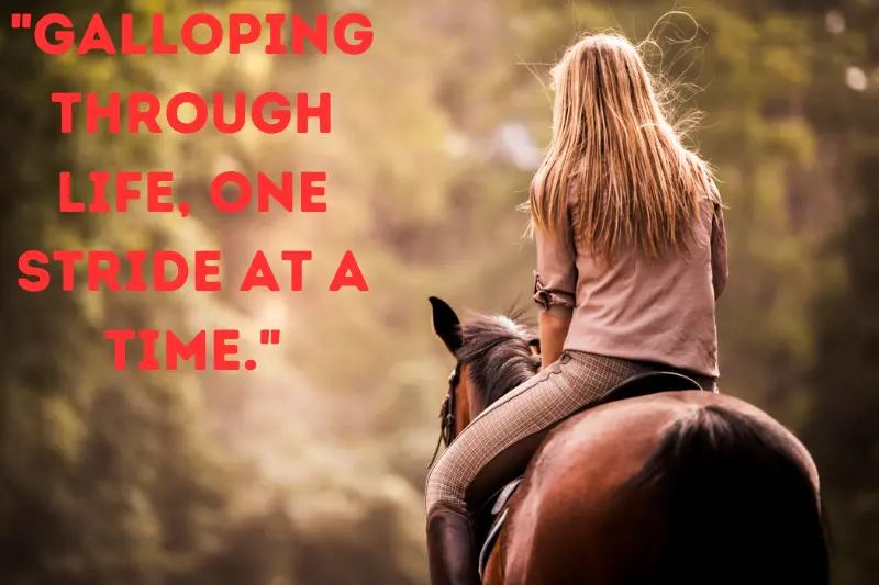 Galloping through life, one stride at a time.