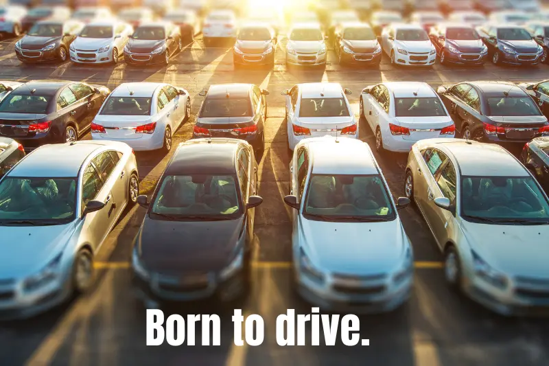 born to drive. 
