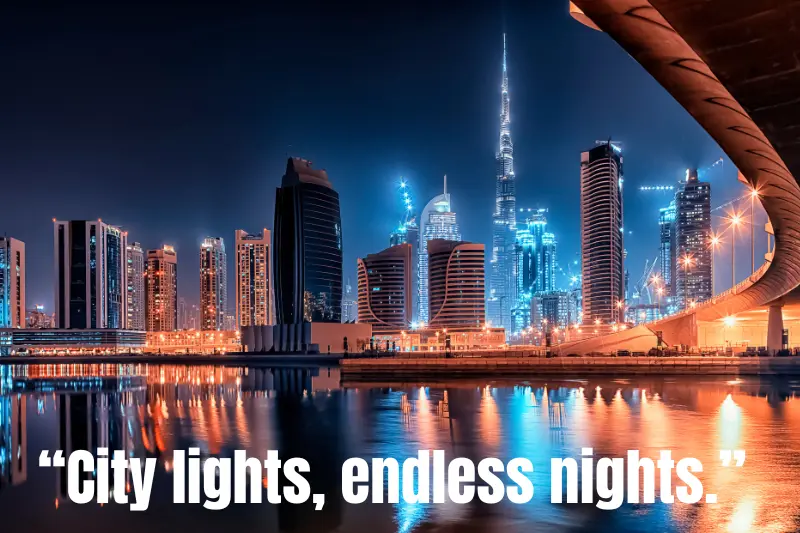 “city lights, endless nights.”