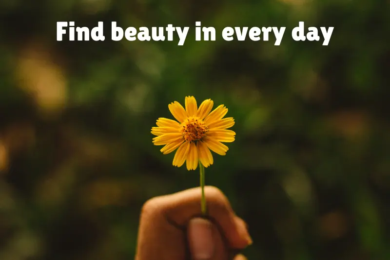 find beauty in every day 