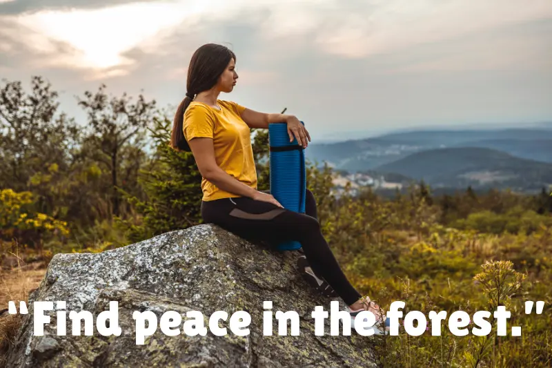 “find peace in the forest.” 