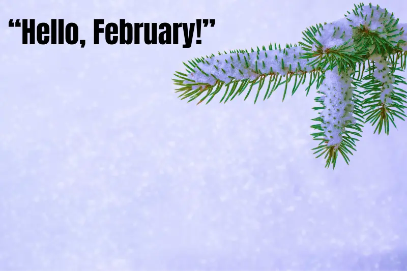 “hello, february!” 