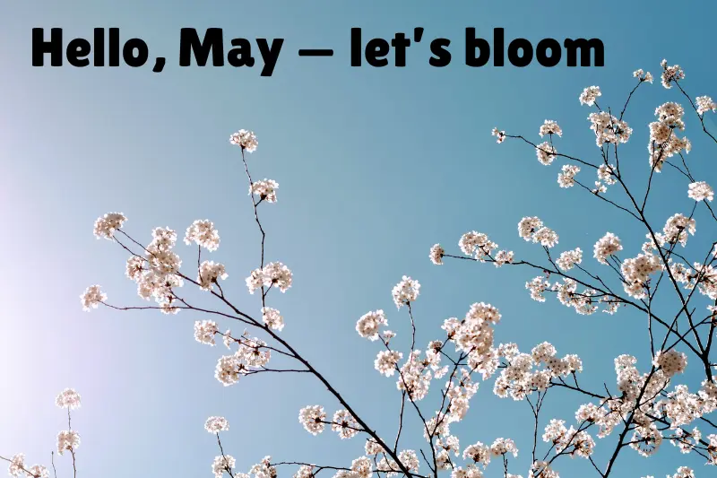 hello, may — let’s bloom 