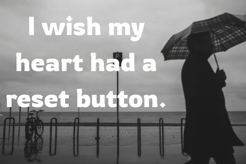 i wish my heart had a reset button.