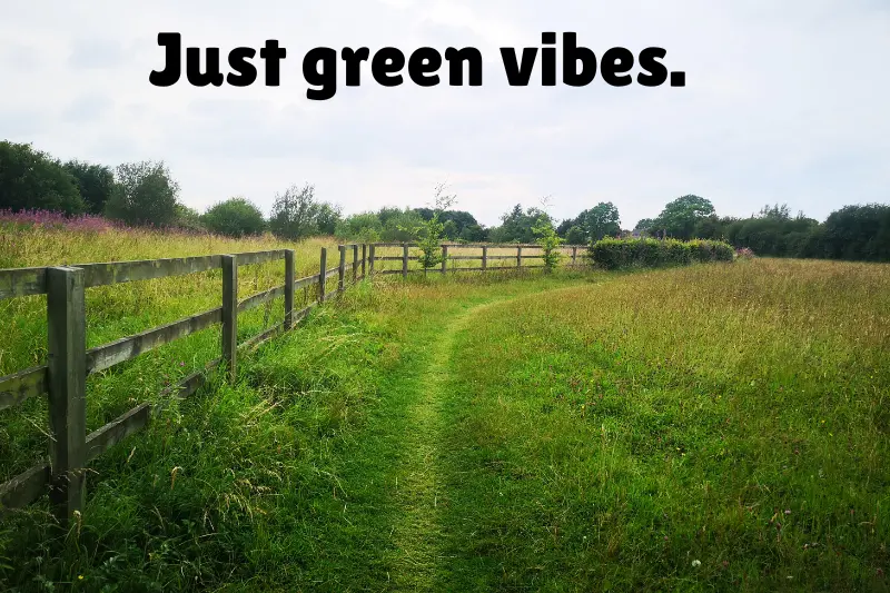 just green vibes. 