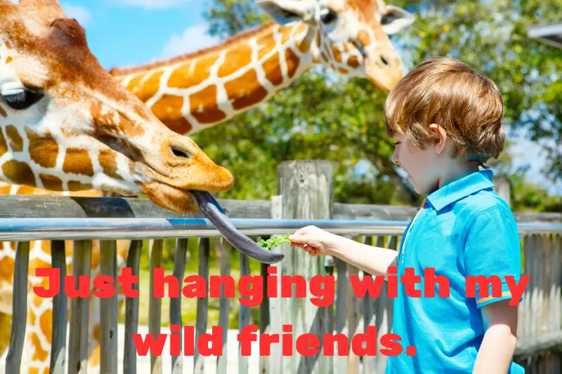just hanging with my wild friends.  
