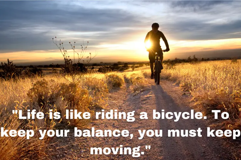 life is like riding a bicycle. to keep your balance, you must keep moving.