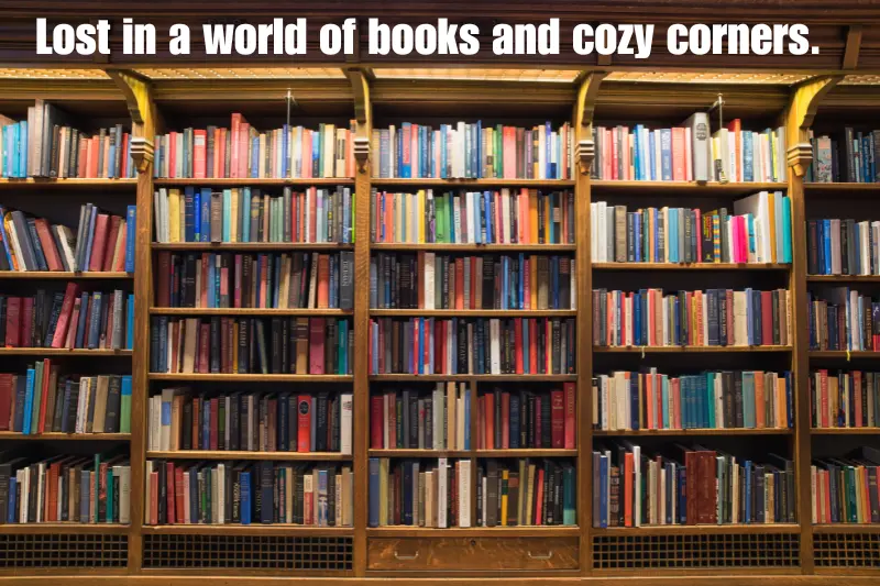 lost in a world of books and cozy corners. 