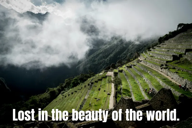 lost in the beauty of the world. 