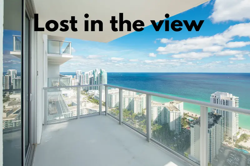 lost in the view  