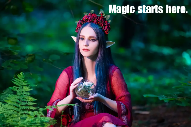 magic starts here. 