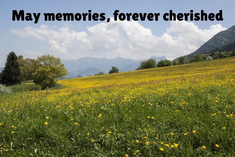 may memories, forever cherished 
