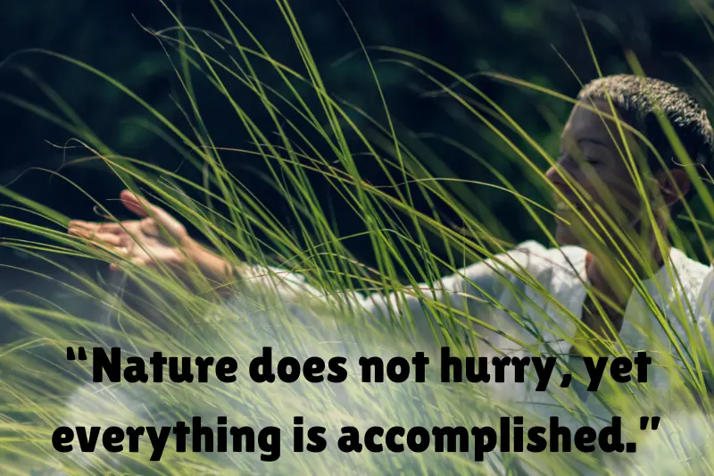 “nature does not hurry, yet everything is accomplished.” 