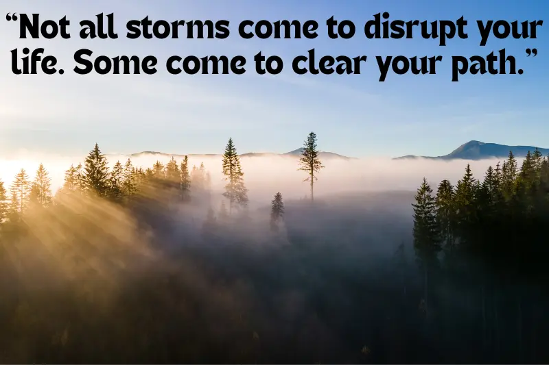 “not all storms come to disrupt your life. Some come to clear your path.” 