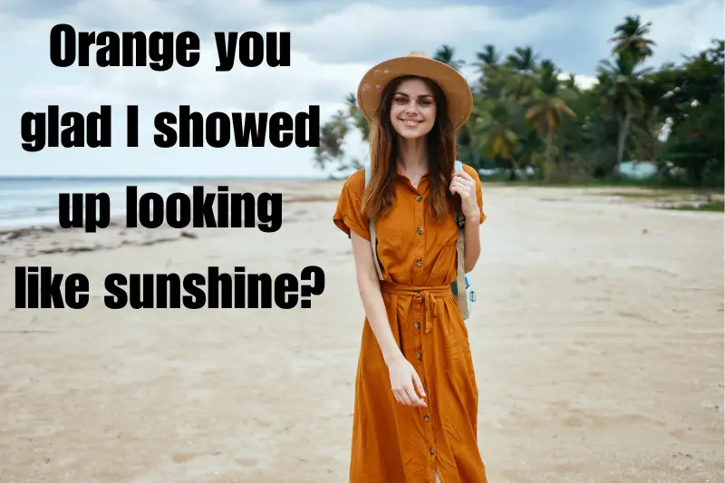 orange you glad i showed up looking like sunshine 