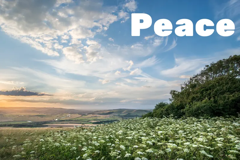 peace