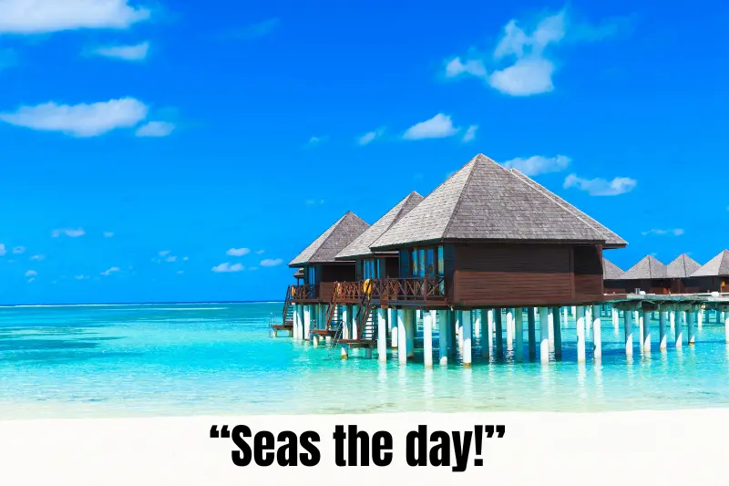 “seas the day!”