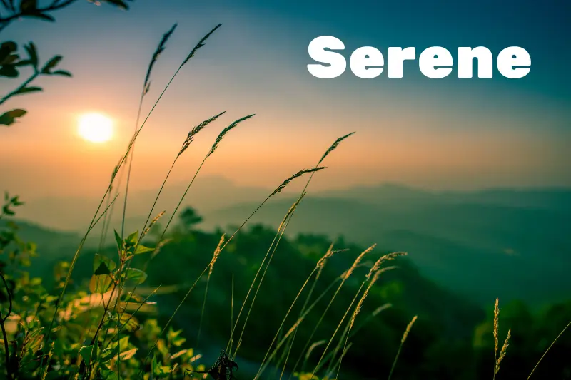 serene