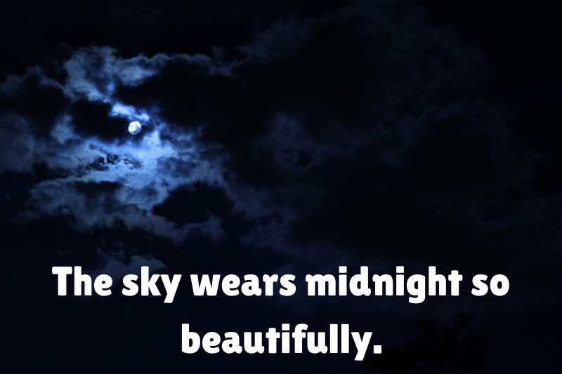 the sky wears midnight so beautifully. 
