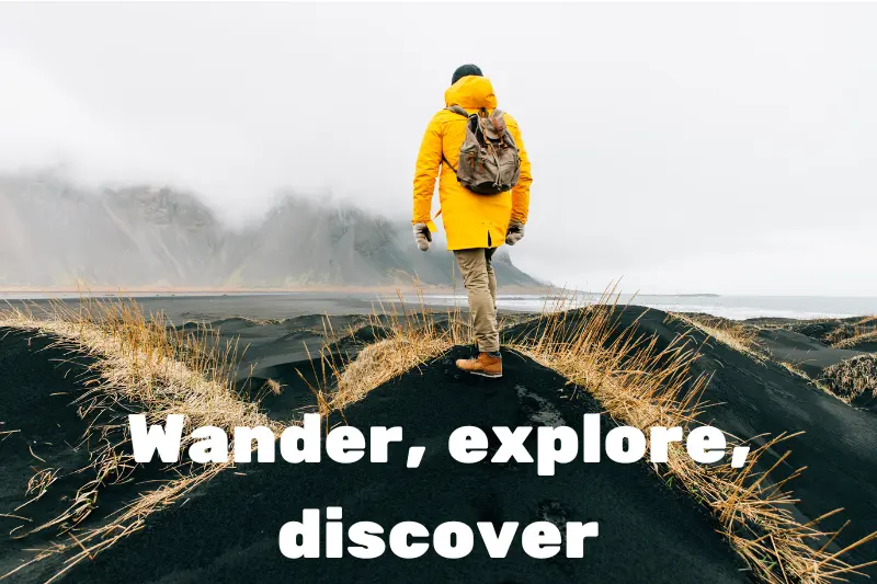 wander, explore, discover 