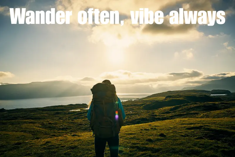 wander often, vibe always