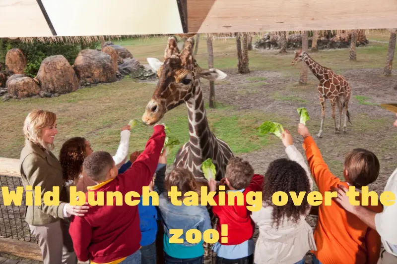 wild bunch taking over the zoo! 