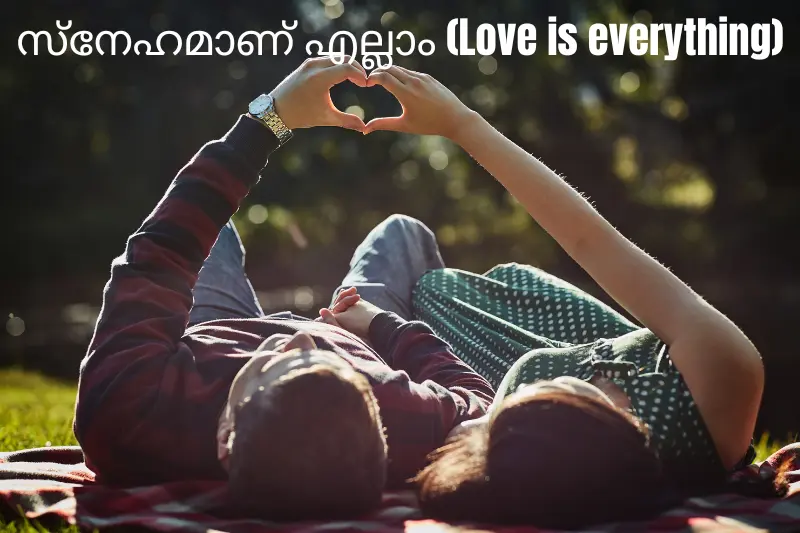 സ്നേഹമാണ് എല്ലാം (love is everything)